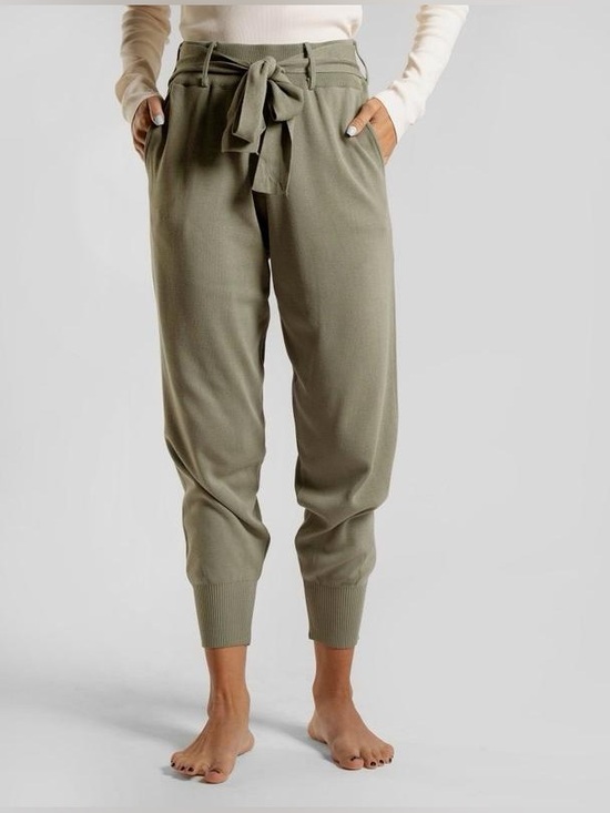 Zara Pants - NWOT Zara High-Waisted Trousers with Belt. Size S.